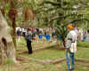 DSCF0112.JPG (103578 bytes)