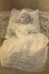 22D.jpg (31729 bytes)